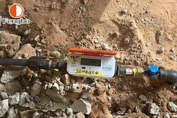 LoRaWAN Ultrasonic Water Meters: Features, Prices, and Manufacturers